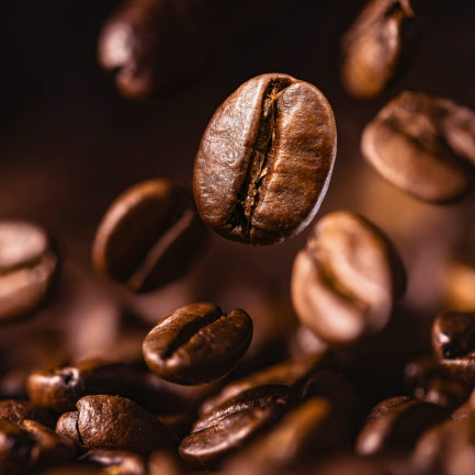 SEASONAL COFFEE